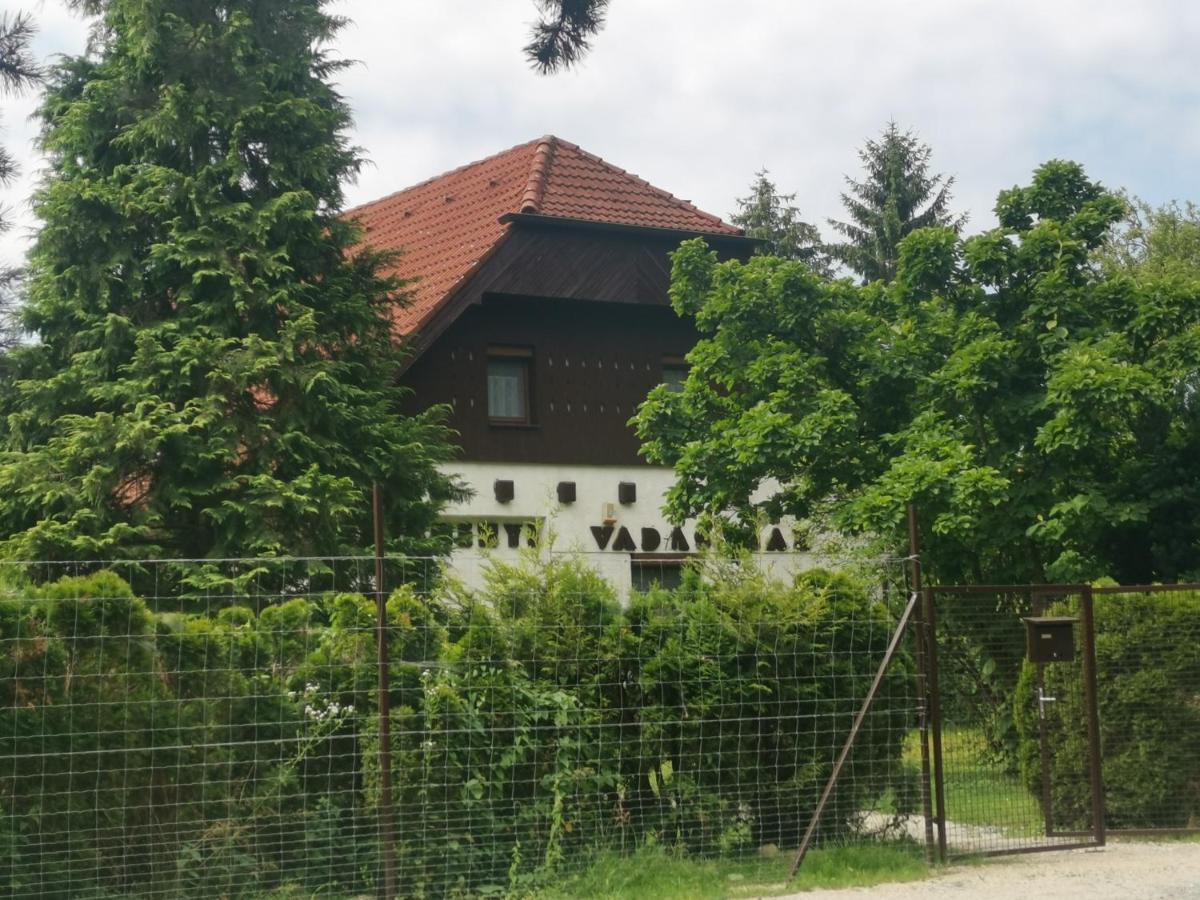 Széchenyi Vadászház Hotel Őriszentpéter Kültér fotó